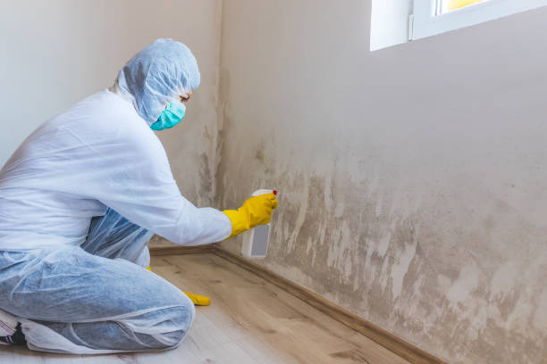 Best HVAC Mold Inspection and Cleaning  in Fritz Creek, AK