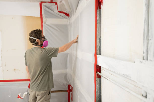 Best Mold Damage Restoration  in Fritz Creek, AK