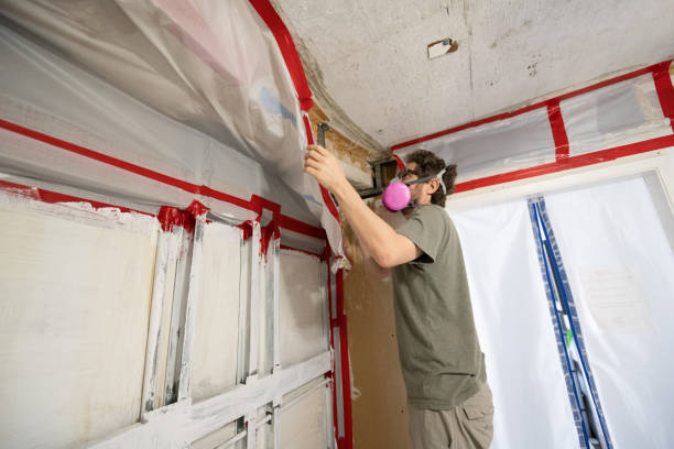 Best Basement Mold Removal  in Fritz Creek, AK