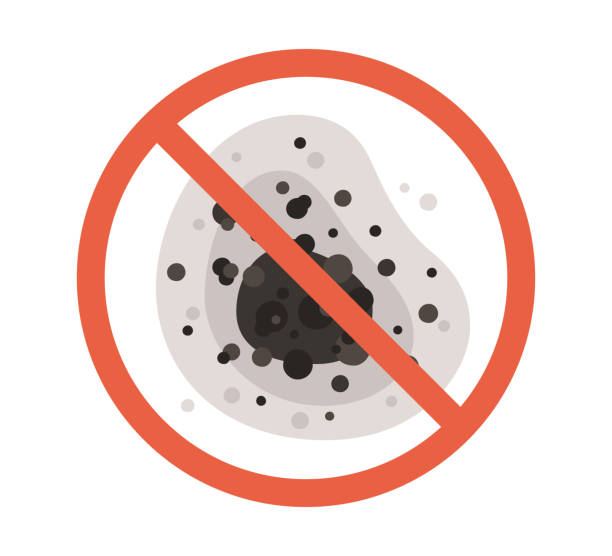 Trusted Fritz Creek, AK Mold Removal Experts