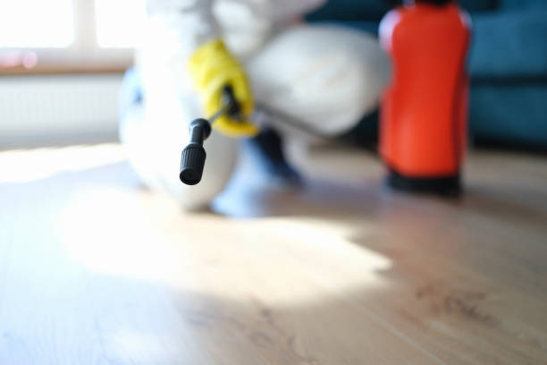 Asbestos and Lead Testing During Mold Inspection in Fritz Creek, AK