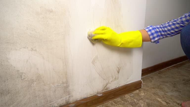 Mold Remediation for Rental Properties in Fritz Creek, AK