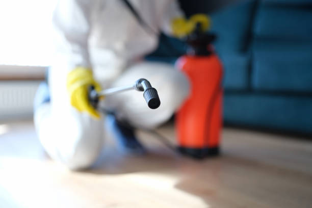 Best Biohazard Mold Removal  in Fritz Creek, AK